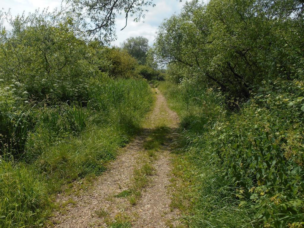 Shirley Apartments, Cozy Studio, Self Check In, 10 Min Drive To City Centre, Walking To Redbridge Train Station Southampton Extérieur photo